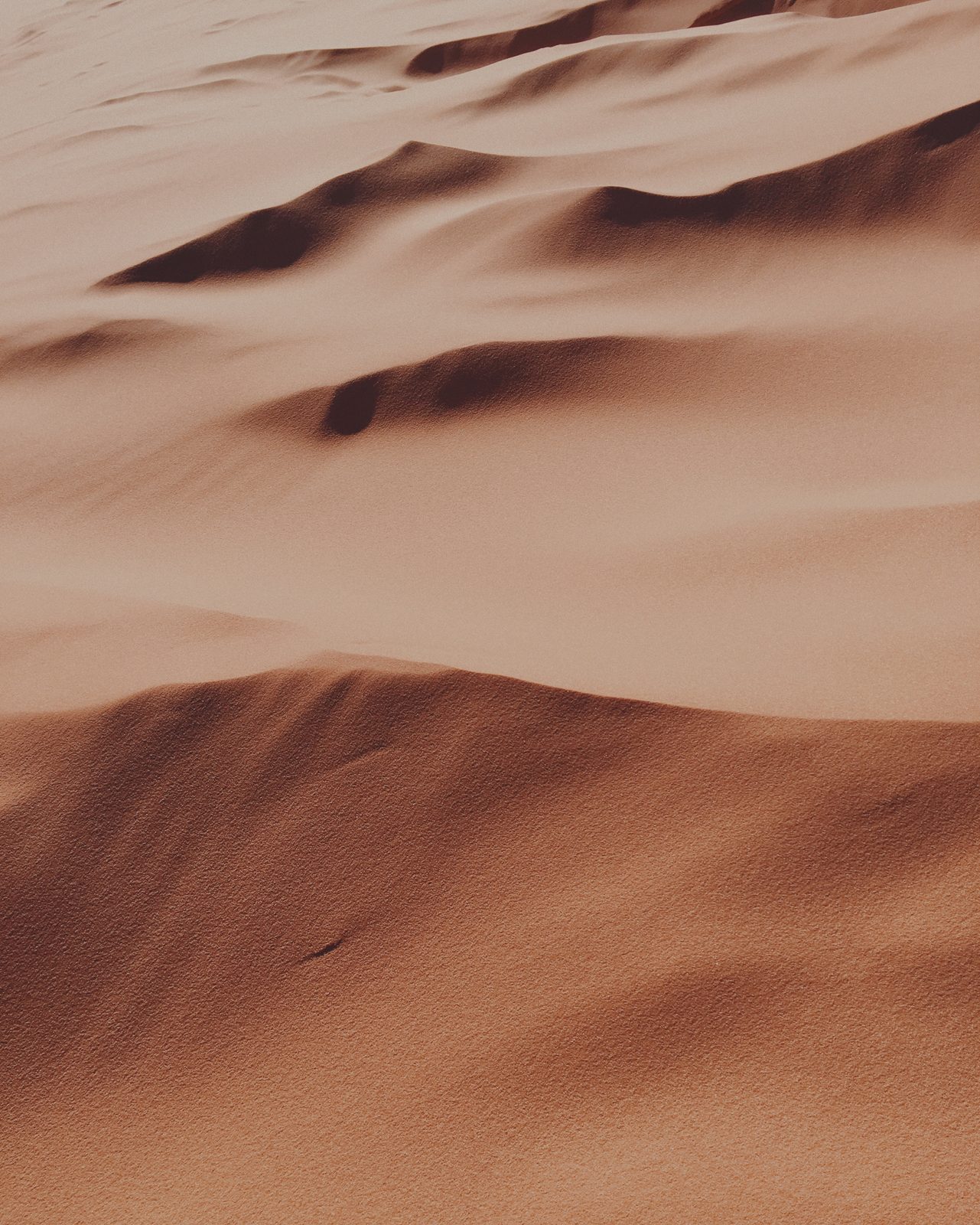 Rippled sand dune in warm light, shot as an abstract landscape